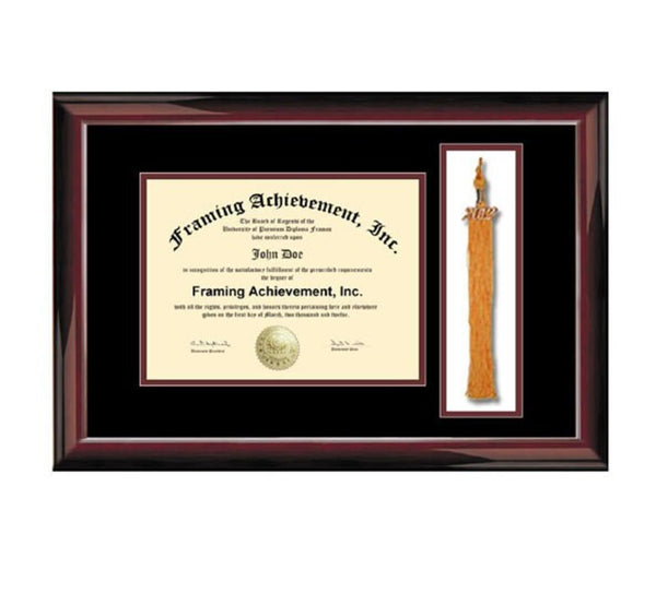 Graduation University Frame Tassel Box College Box Degree Document Plaque Framing Graduate Gift Plaque