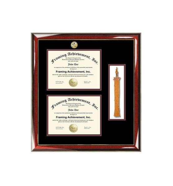University graduation tassel diploma frame college major logo double degree plaque holder two document framing certificate box shadowbox gift