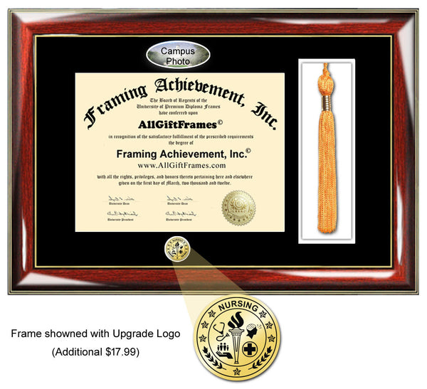 LIU Brooklyn diploma frames Long Island University diploma tassel box frame holder framing school