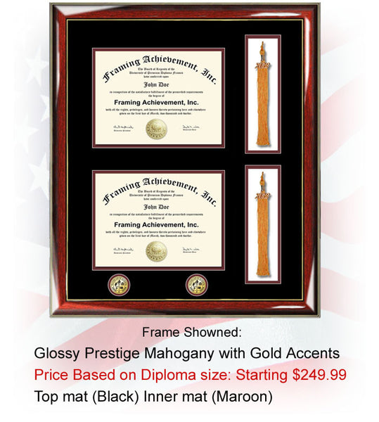 two tassel holder frame