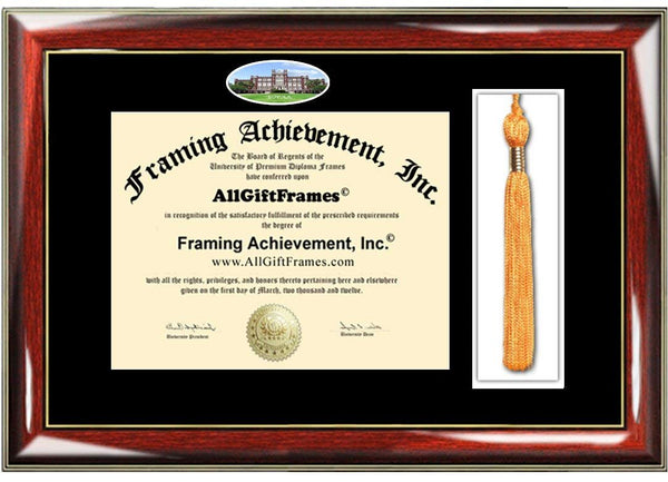 Loyola University of New Orleans Tassel Diploma Frame Loyola Campus Photo Custom Degree Framing Plaque Graduation Tassel Holder Frame Certificate College Frames