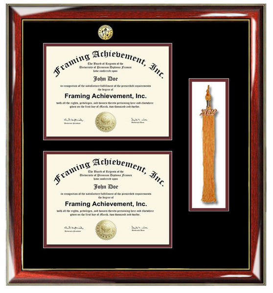 Graduation tassel diploma frame college major logo double degree plaque holder two documents framing certificate tassel box shadowbox gift