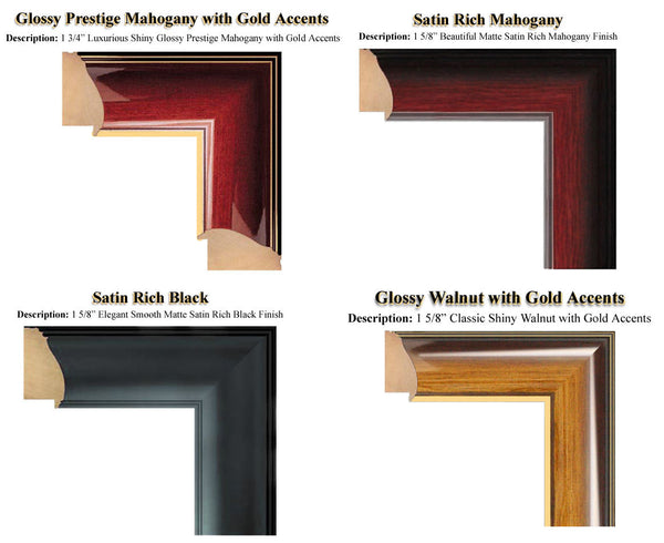 United States Bill of Rights Frame and Replica Print with Gold Embossed Logo Medallion Attorney Lawyer Law School Graduates Graduation Gifts