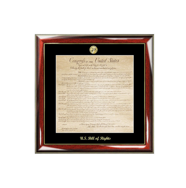 United States Bill of Rights Frame and Replica Print with Gold Embossed Logo Medallion Attorney Lawyer Law School Graduates Graduation Gifts