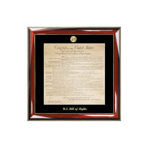 United States Bill of Rights Frame and Replica Print with Gold Embossed Logo Medallion Attorney Lawyer Law School Graduates Graduation Gifts