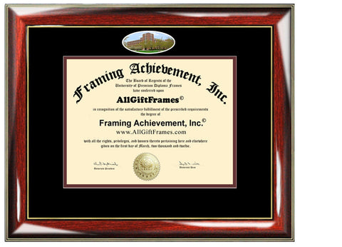DePaul University diploma frame school picture degree certificate framing graduation gift plaque document graduate holder case alumni grad